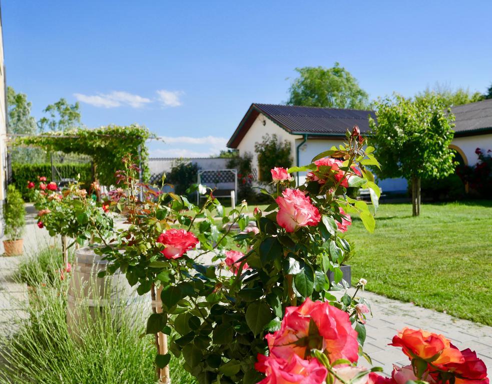 Pension Seepanorama Weiden am See Bagian luar foto